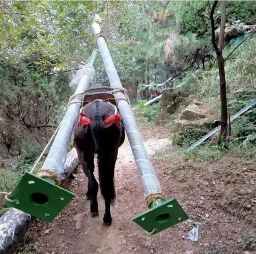 运城骡马运输队